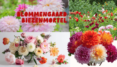 blommengaard-biezenmortel-gr blommengaard-biezenmortel-gr
