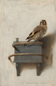 the-goldfinch-fabritivis-1654 the-goldfinch-fabritivis-1654