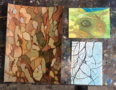 volg-je-boom1 volg-je-boom1